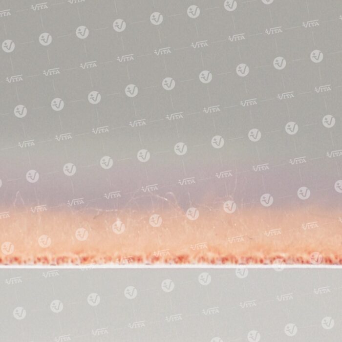 Vita Deramed Επιθέματα Αυτοκόλλητα 'Moleskin' (4τεμ.) F-00509-03C 07-2-060 - Image 3